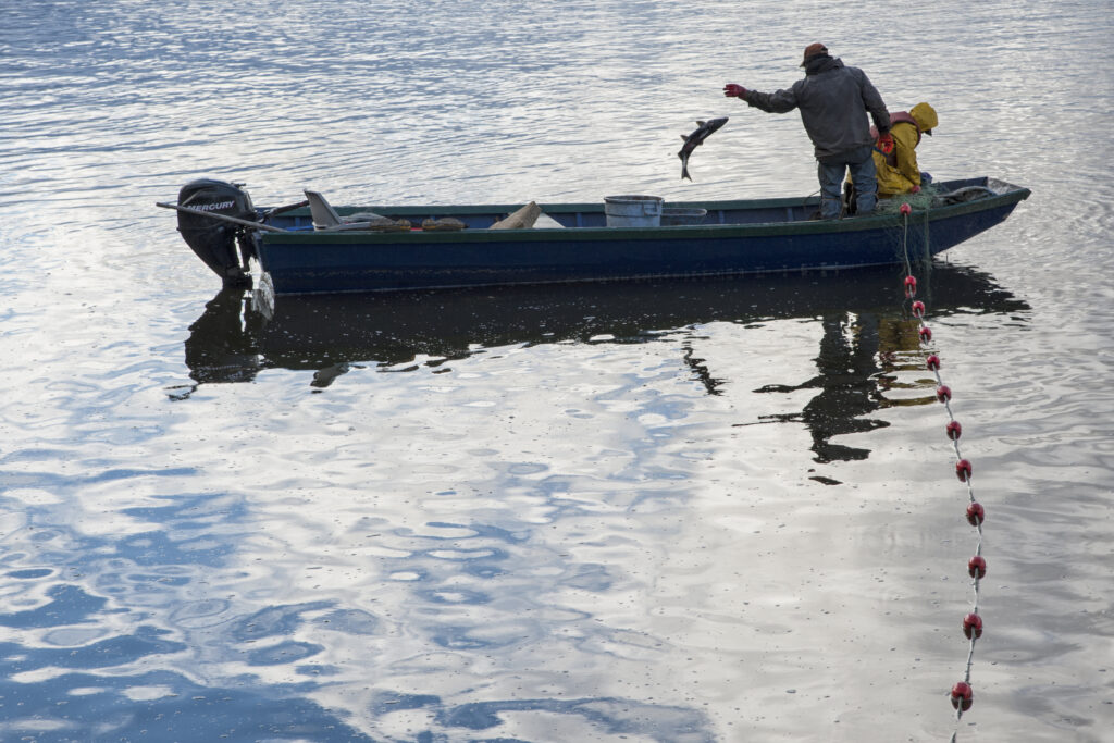 Man throwing fish off boat